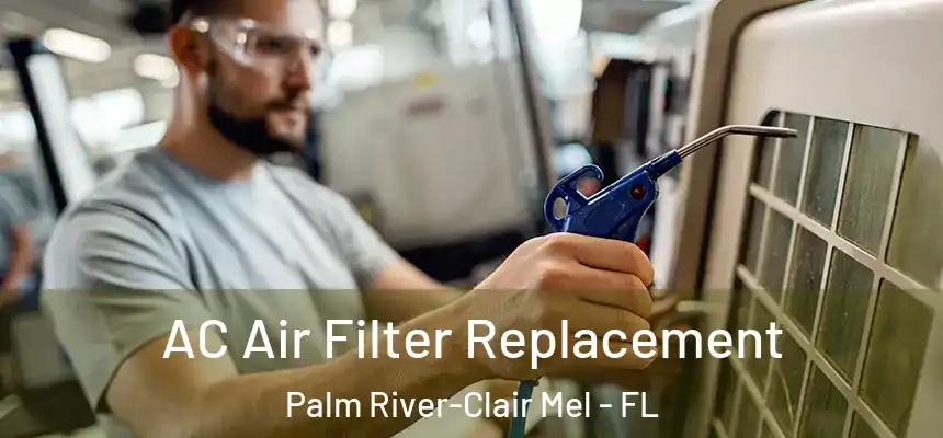 AC Air Filter Replacement Palm River-Clair Mel - FL
