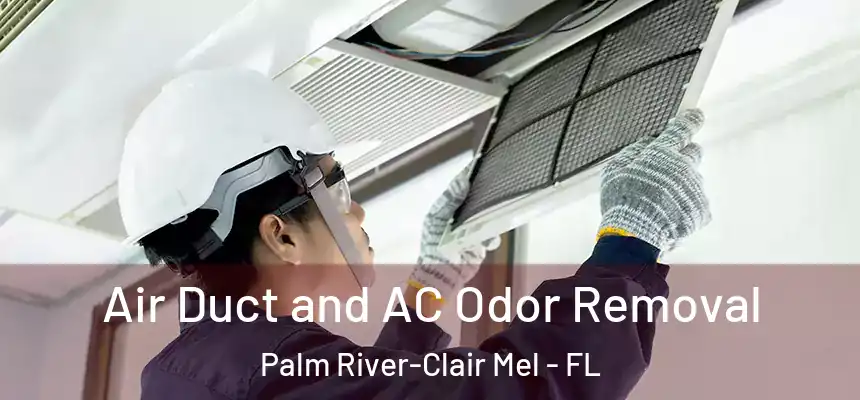 Air Duct and AC Odor Removal Palm River-Clair Mel - FL