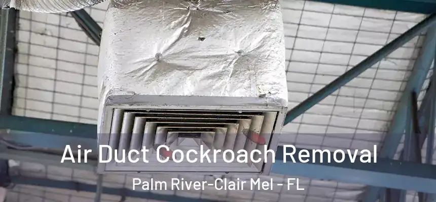 Air Duct Cockroach Removal Palm River-Clair Mel - FL