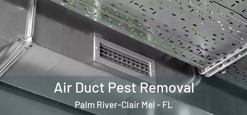 Air Duct Pest Removal Palm River-Clair Mel - FL