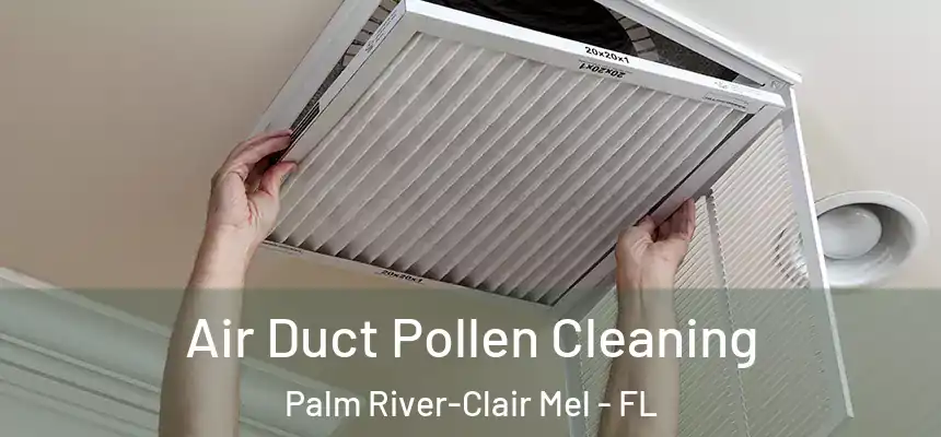 Air Duct Pollen Cleaning Palm River-Clair Mel - FL