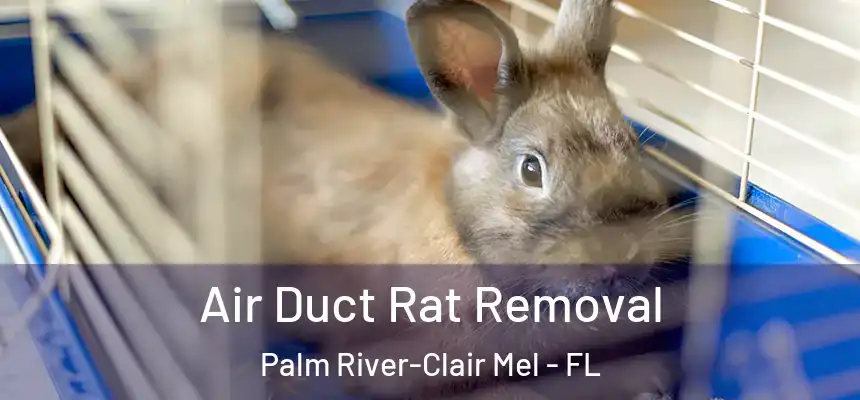 Air Duct Rat Removal Palm River-Clair Mel - FL