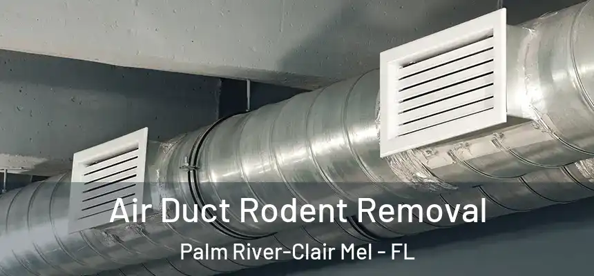 Air Duct Rodent Removal Palm River-Clair Mel - FL