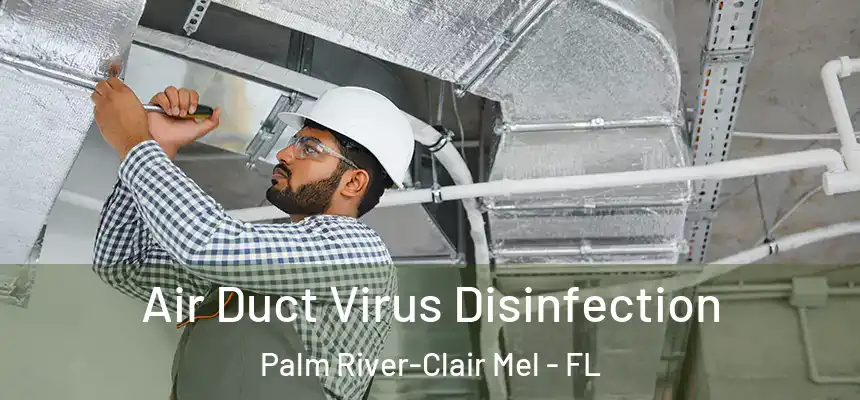 Air Duct Virus Disinfection Palm River-Clair Mel - FL