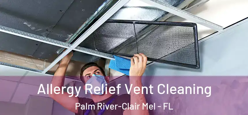Allergy Relief Vent Cleaning Palm River-Clair Mel - FL