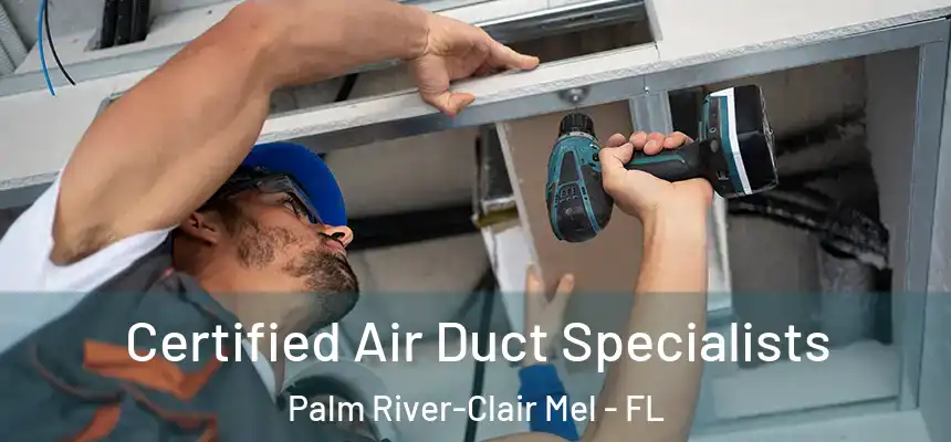 Certified Air Duct Specialists Palm River-Clair Mel - FL