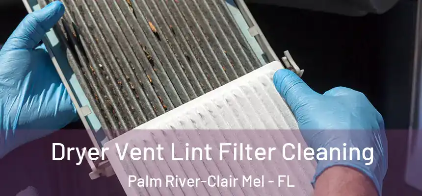 Dryer Vent Lint Filter Cleaning Palm River-Clair Mel - FL