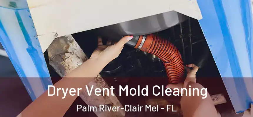 Dryer Vent Mold Cleaning Palm River-Clair Mel - FL