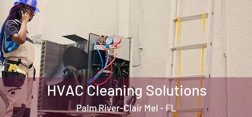 HVAC Cleaning Solutions Palm River-Clair Mel - FL