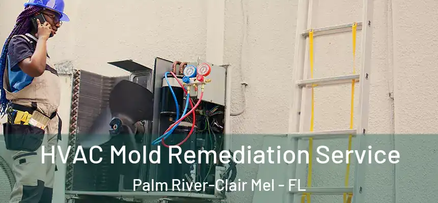 HVAC Mold Remediation Service Palm River-Clair Mel - FL