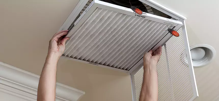Preventive Cockroach-Proofing for Ducts in Palm River-Clair Mel