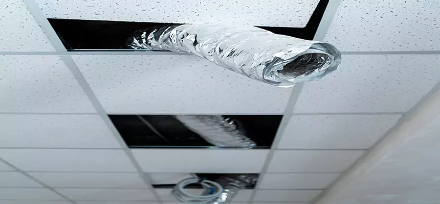 Affordable HVAC Sanitizing After Pest Removal in Palm River-Clair Mel