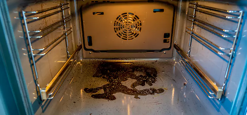 Our Dryer Vent Mold Cleaning Services in Palm River-Clair Mel, FL