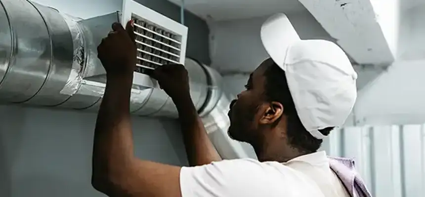 Our Licensed And Insured Cleaners in Palm River-Clair Mel, FL