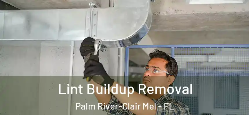 Lint Buildup Removal Palm River-Clair Mel - FL