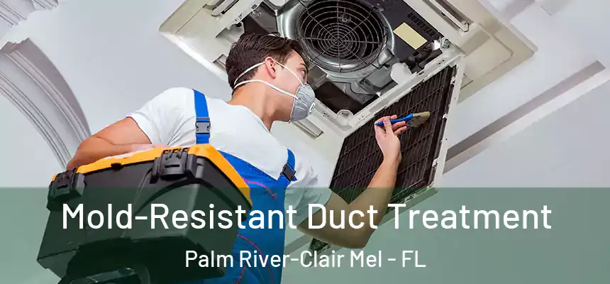 Mold-Resistant Duct Treatment Palm River-Clair Mel - FL