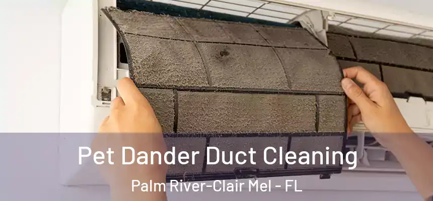 Pet Dander Duct Cleaning Palm River-Clair Mel - FL