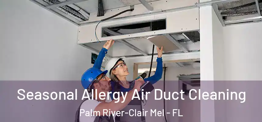 Seasonal Allergy Air Duct Cleaning Palm River-Clair Mel - FL