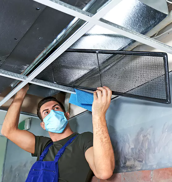 About Air Duct Bacteria Removal in Palm River-Clair Mel