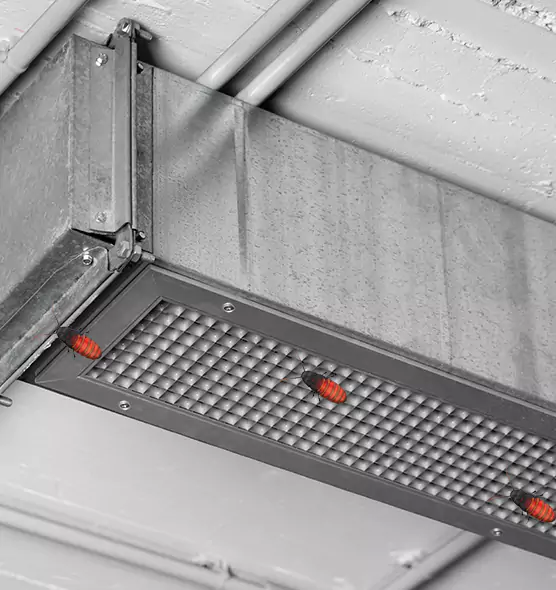 About Air Duct Cockroach Removal in Palm River-Clair Mel, FL