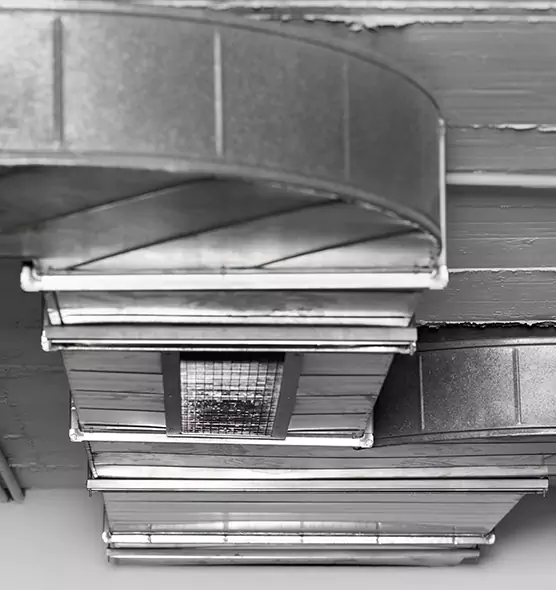 Professional Air Duct Pest Removal in Palm River-Clair Mel, FL