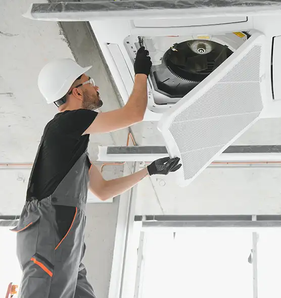 About Air Duct Rodent Removal in Palm River-Clair Mel, FL