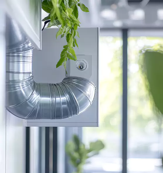 Professional Eco-Safe Dryer Vent Cleaning in Palm River-Clair Mel, FL