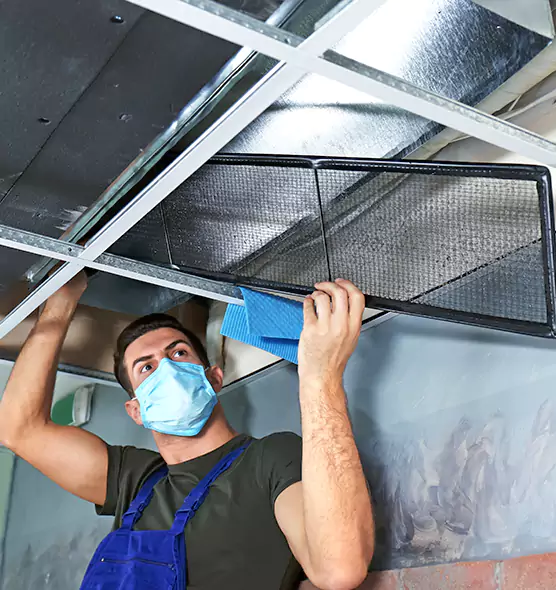 Professional Home Ventilation Cleaning in Palm River-Clair Mel, FL