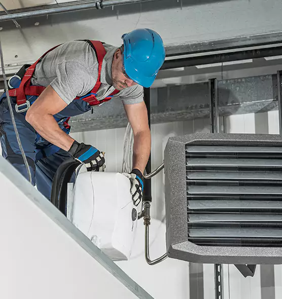 About HVAC Mold Remediation Service in Palm River-Clair Mel, FL