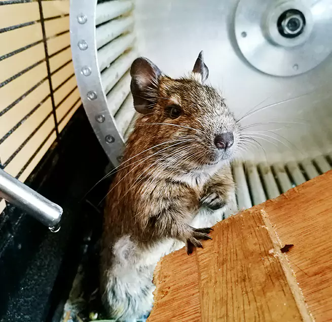 Why Homeowners & Businesses Trust Us Palm River-Clair Mel, FL