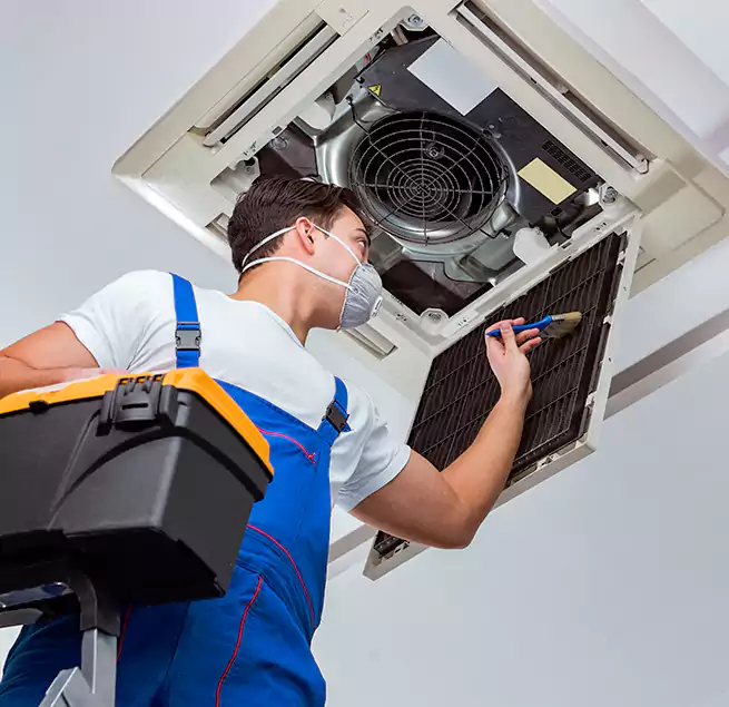 Why Homeowners & Businesses Trust Us in Palm River-Clair Mel, FL