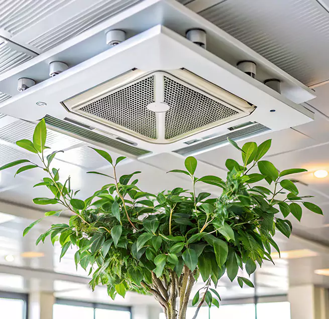 Why Homeowners & Businesses Trust Us in Palm River-Clair Mel, FL?