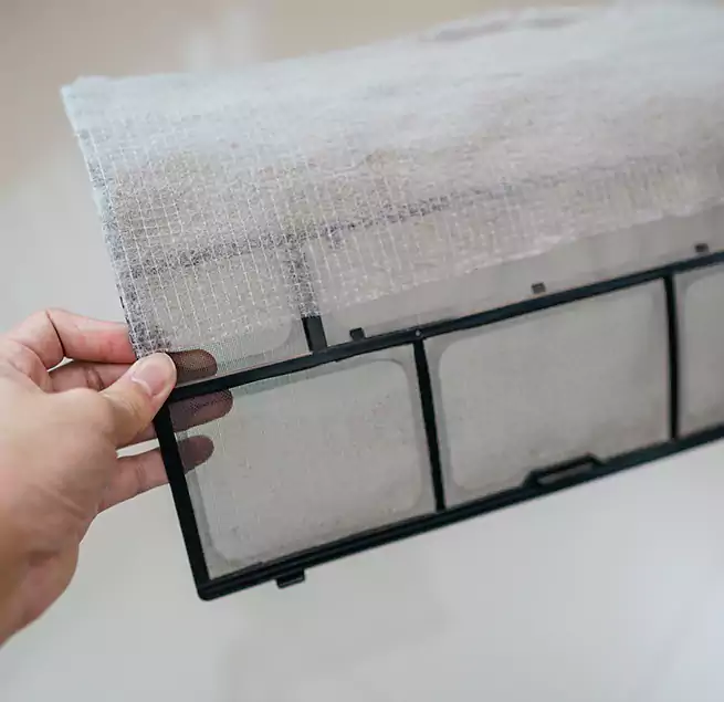 Why Homeowners & Businesses Trust Us in Palm River-Clair Mel, FL?