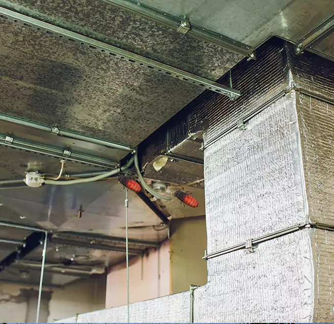 Why Homeowners & Businesses Trust Us Palm River-Clair Mel, FL?