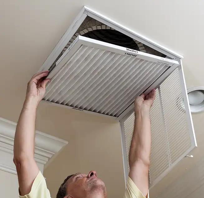 Why Homeowners & Businesses Trust Us in Palm River-Clair Mel, FL?