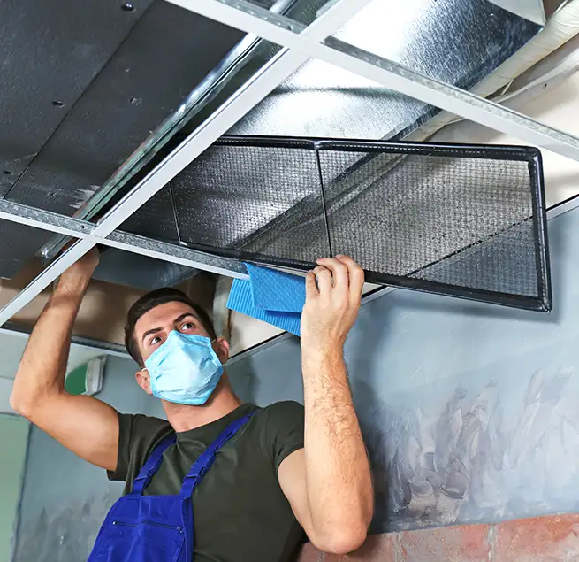 Why Homeowners & Businesses Trust Us in Palm River-Clair Mel, FL?