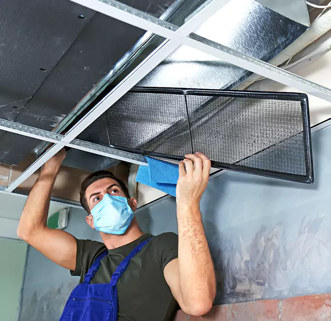 Why Homeowners Businesses Trust Us in Palm River-Clair Mel, FL?